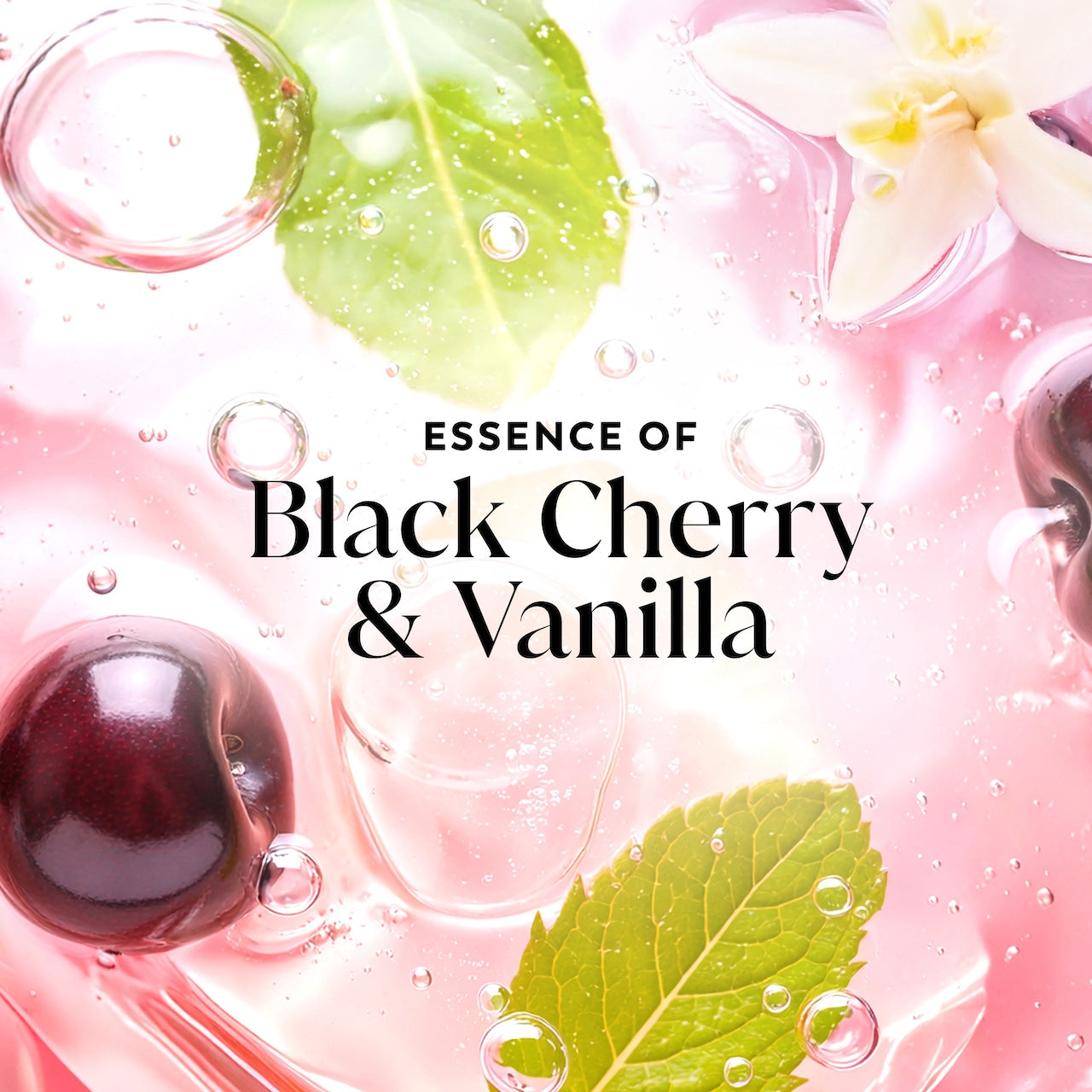 Olay Fresh Radiance Body Wash · Essence of Black Cherry and Vanilla · Vitamin B3 and Antioxidant Blend · 22oz