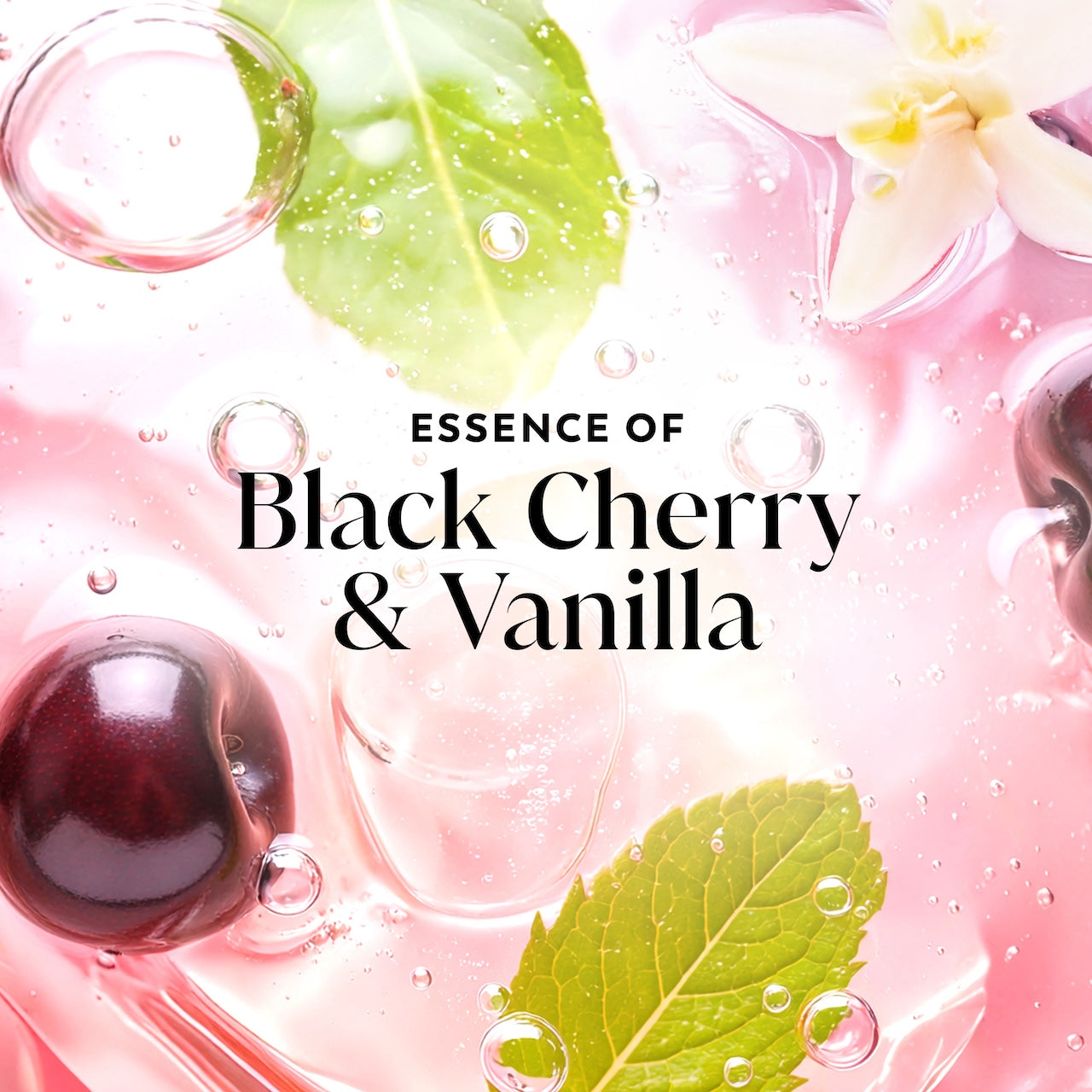 Olay Fresh Radiance Body Wash · Essence of Black Cherry and Vanilla · Vitamin B3 and Antioxidant Blend · 35oz